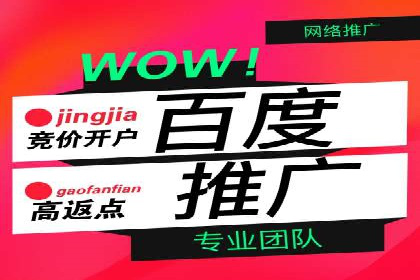 SEM竞价托管案例，助力企业业绩腾飞
